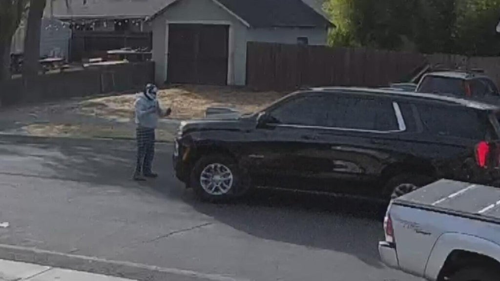 Woodland police dispute DHS account of ICE agent's collision with pedestrian — CBS Bay Area (KPIX), Piedmont Health news