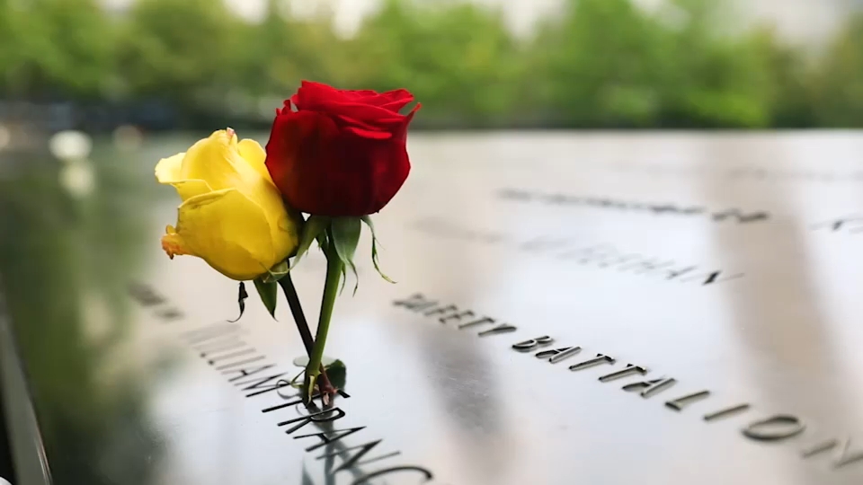 Second 9/11 victim identified with breakthrough genetic genealogy, NYC officials say
       — ABC 7 Bay Area, Piedmont Community news