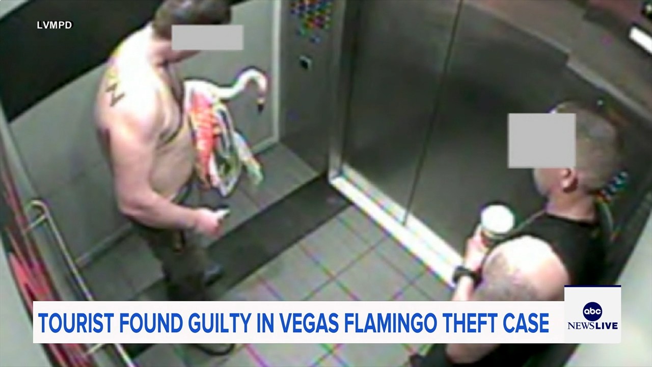 Man who snatched Peachy the flamingo from Las Vegas hotel exhibit found guilty of animal cruelty
— ABC 7 Bay Area, Piedmont Arts news