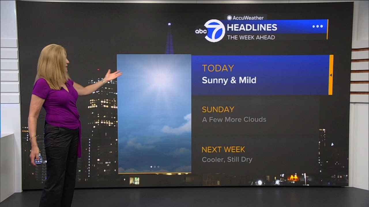AccuWeather Forecast: Sunny and mild
— ABC 7 Bay Area, Piedmont Community news