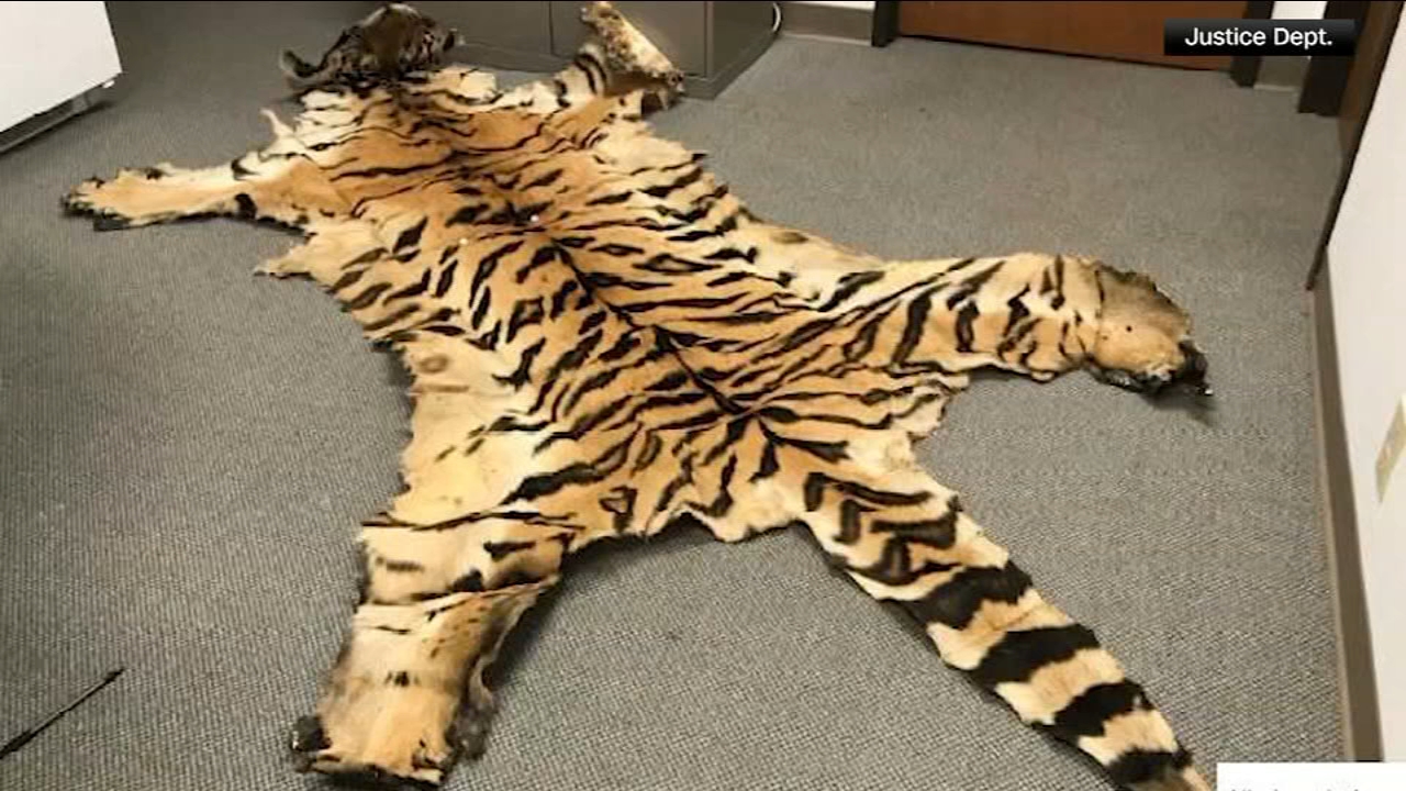 California couple pleads guilty to trafficking wildlife
— Piedmont Community news