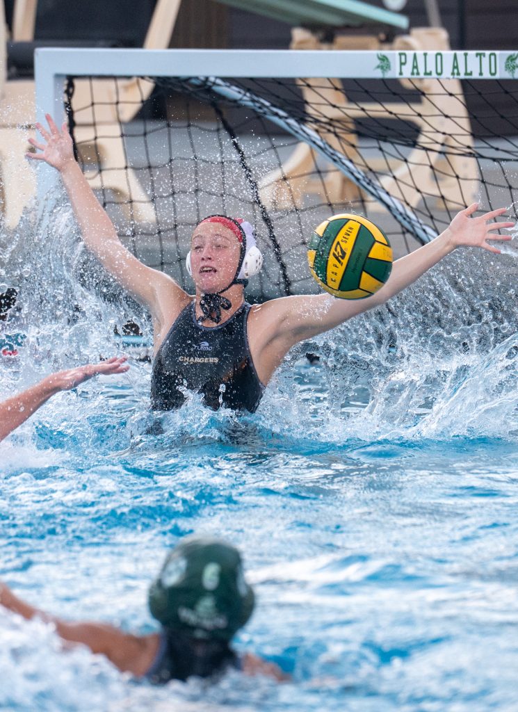 Wilcox Water Polo Caught in Vikings Rip Current — Silicon Valley Voice, Piedmont Sports news