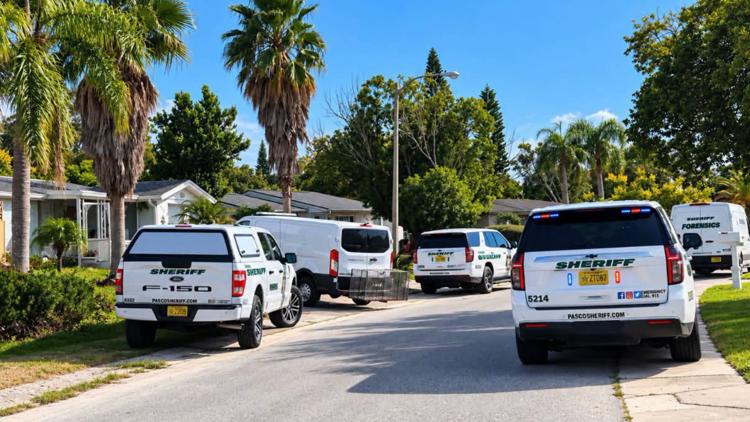 Woman hospitalized after being attacked by dog in Pasco County: deputies — WTSP 10 Tampa Bay, Piedmont Health news