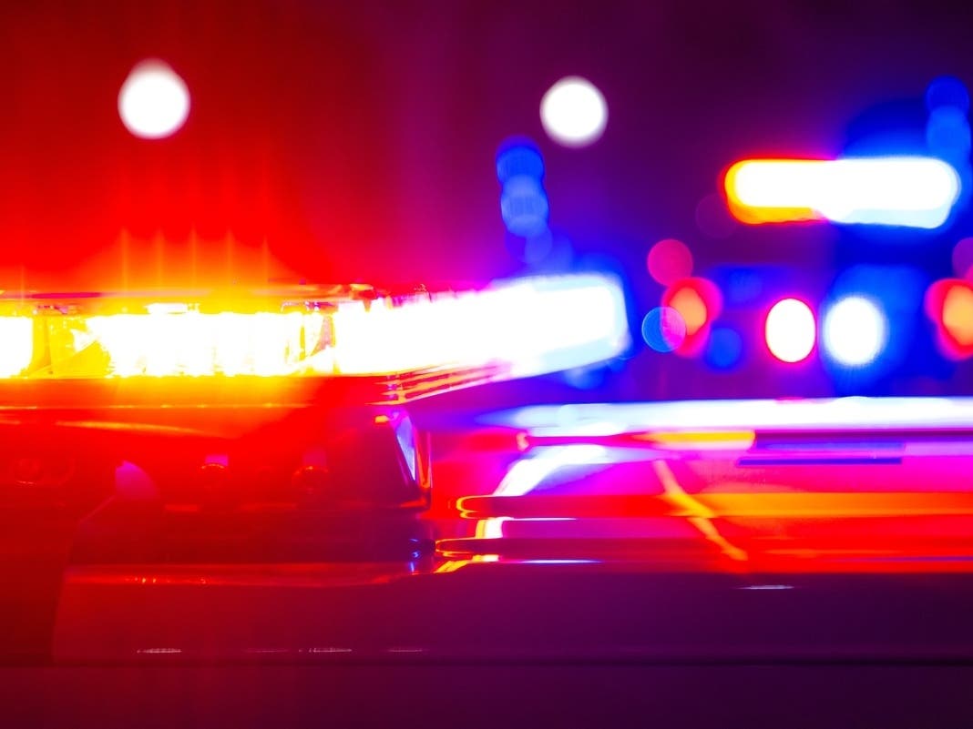 1 Rescued After Falling Into San Francisco Bay: Fire Officials — Piedmont Patch, Piedmont Community news