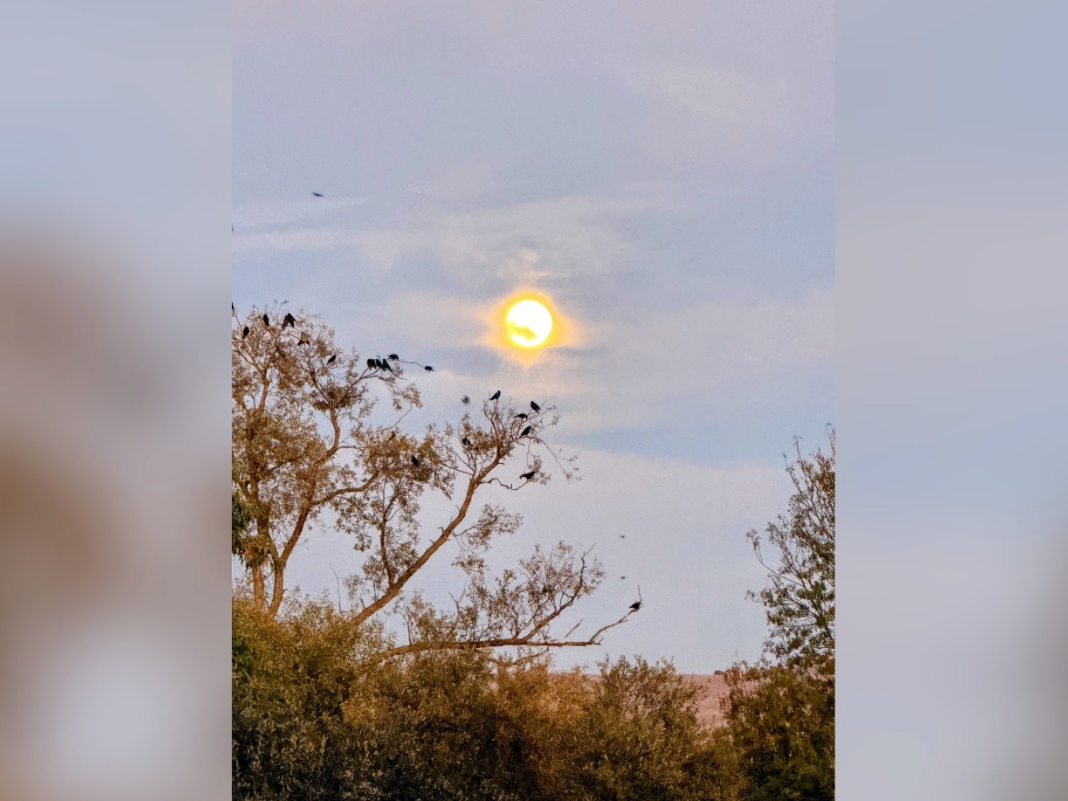 Moonlight Homecoming: Fremont Photo of The Day — Piedmont Patch