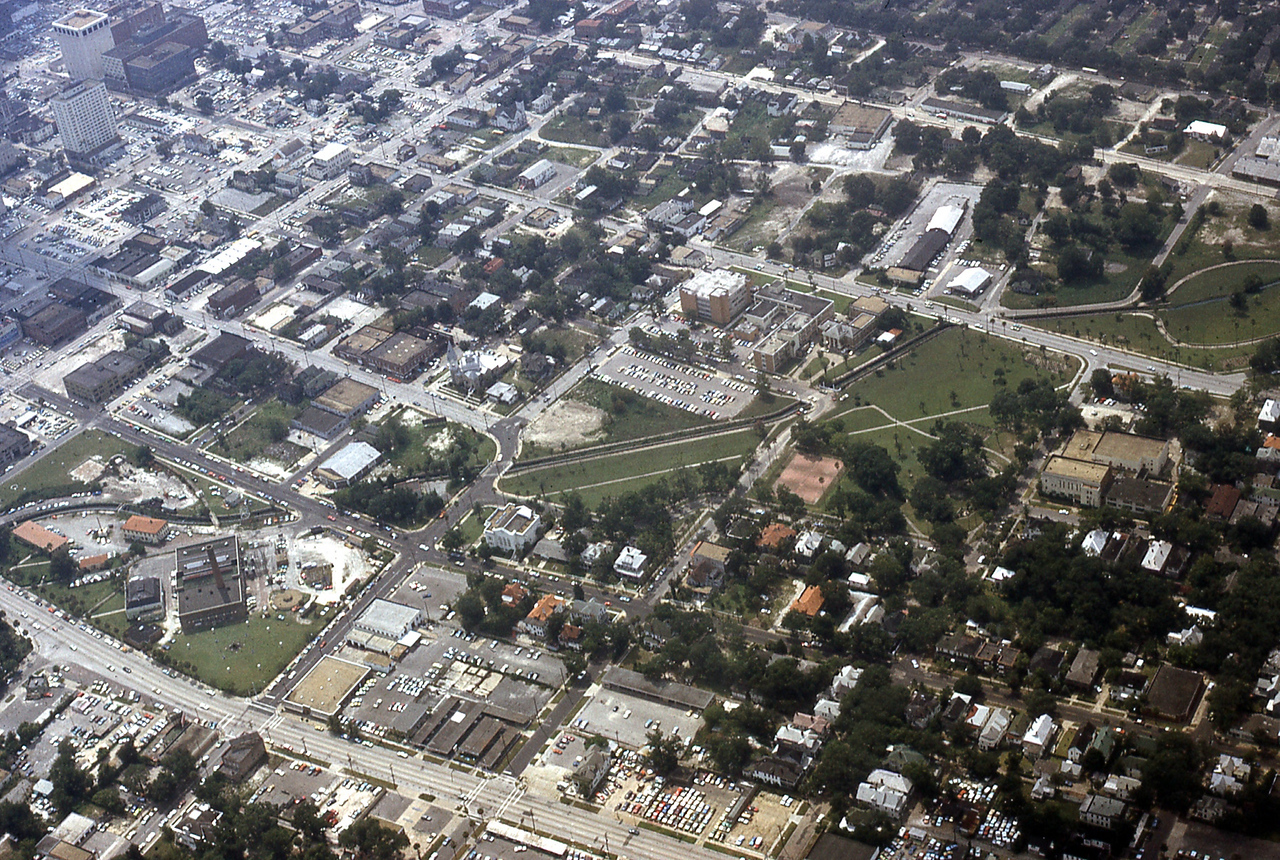 THE JAXSON | The oak tree that remembers Black Bottom — Jacksonville Today, Piedmont Schools news
