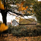 A New Perspective: “An Ounce of Prevention…” | Real Estate Insights — Piedmont Exedra