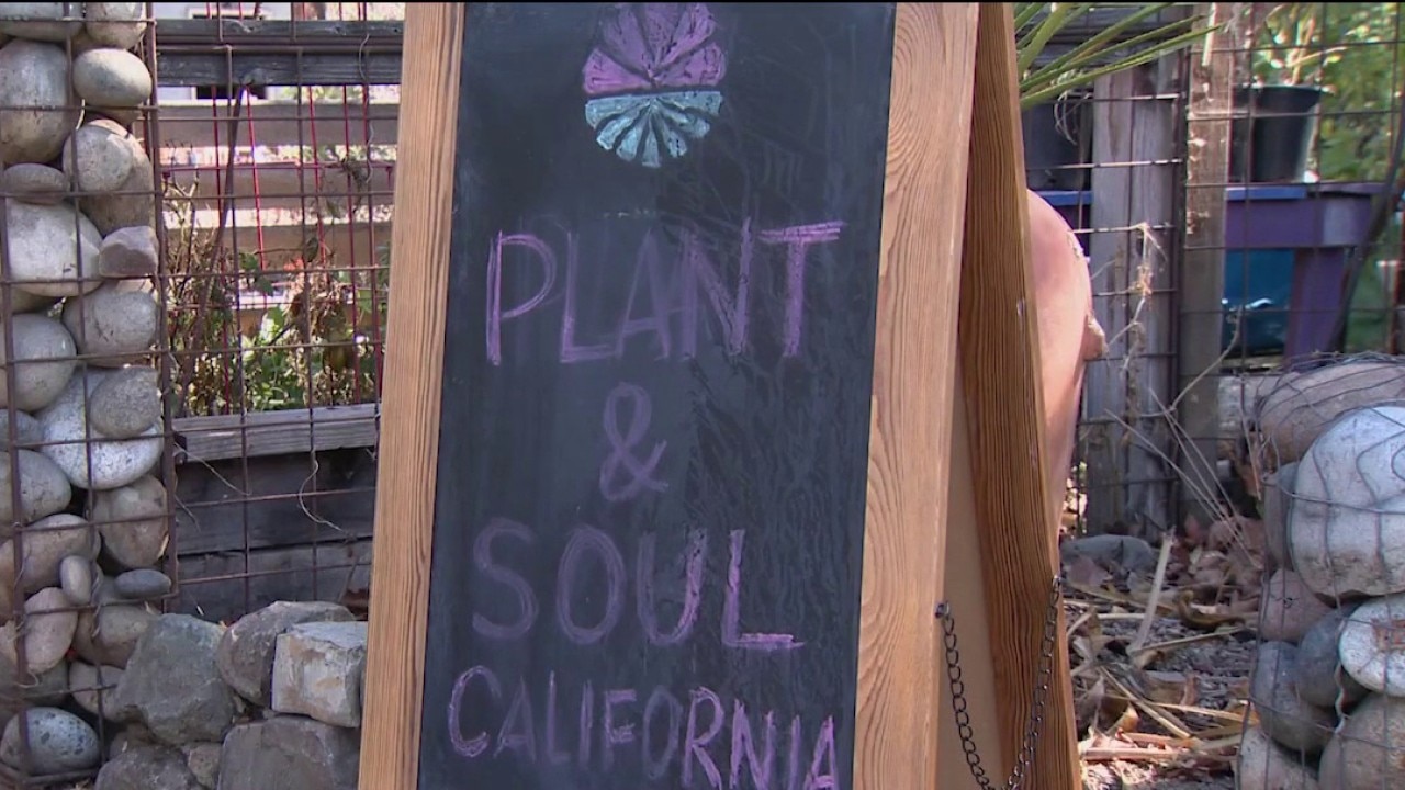 San Jose community garden faces possible eviction — KTVU FOX 2 Bay Area, Piedmont Schools news