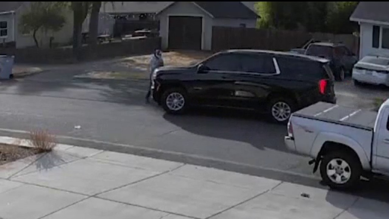 Pedestrian hit by federal immigration agent's vehicle in Yolo County — KTVU FOX 2 Bay Area, Piedmont Community news