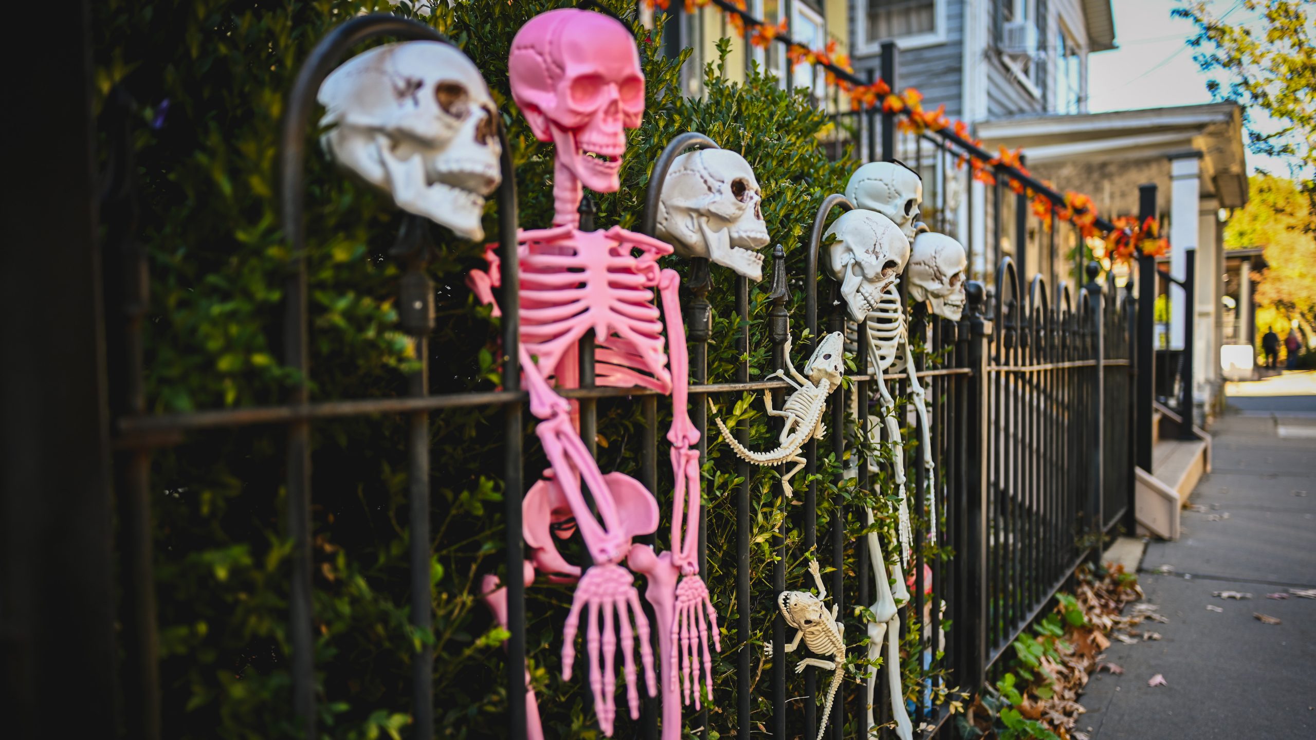 America's best cities for Halloween, ranked — KTVU FOX 2 Bay Area, Piedmont Community news