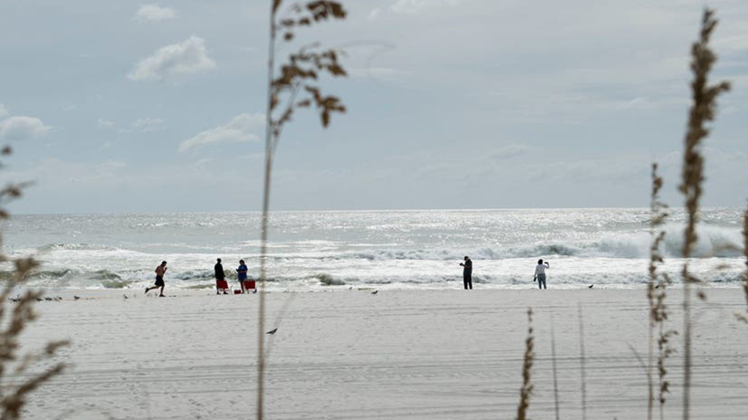 Father of 2 drowns after being caught in current trying to rescue seagull caught in fishing line โ KTVU FOX 2 Bay Area